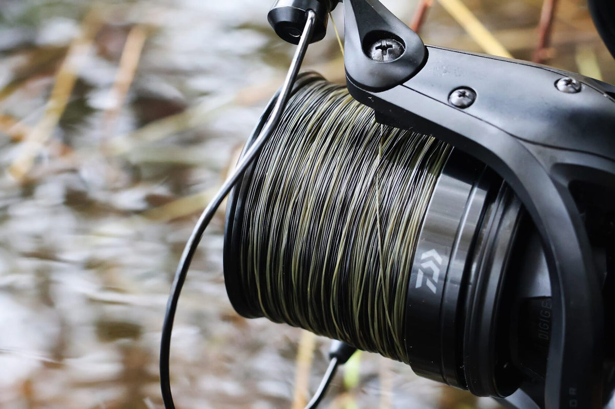 Katran Fishing Line Wild Carp