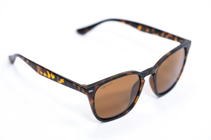 Korda Shoreditch-Matt Toroise Shell/Brown Lens