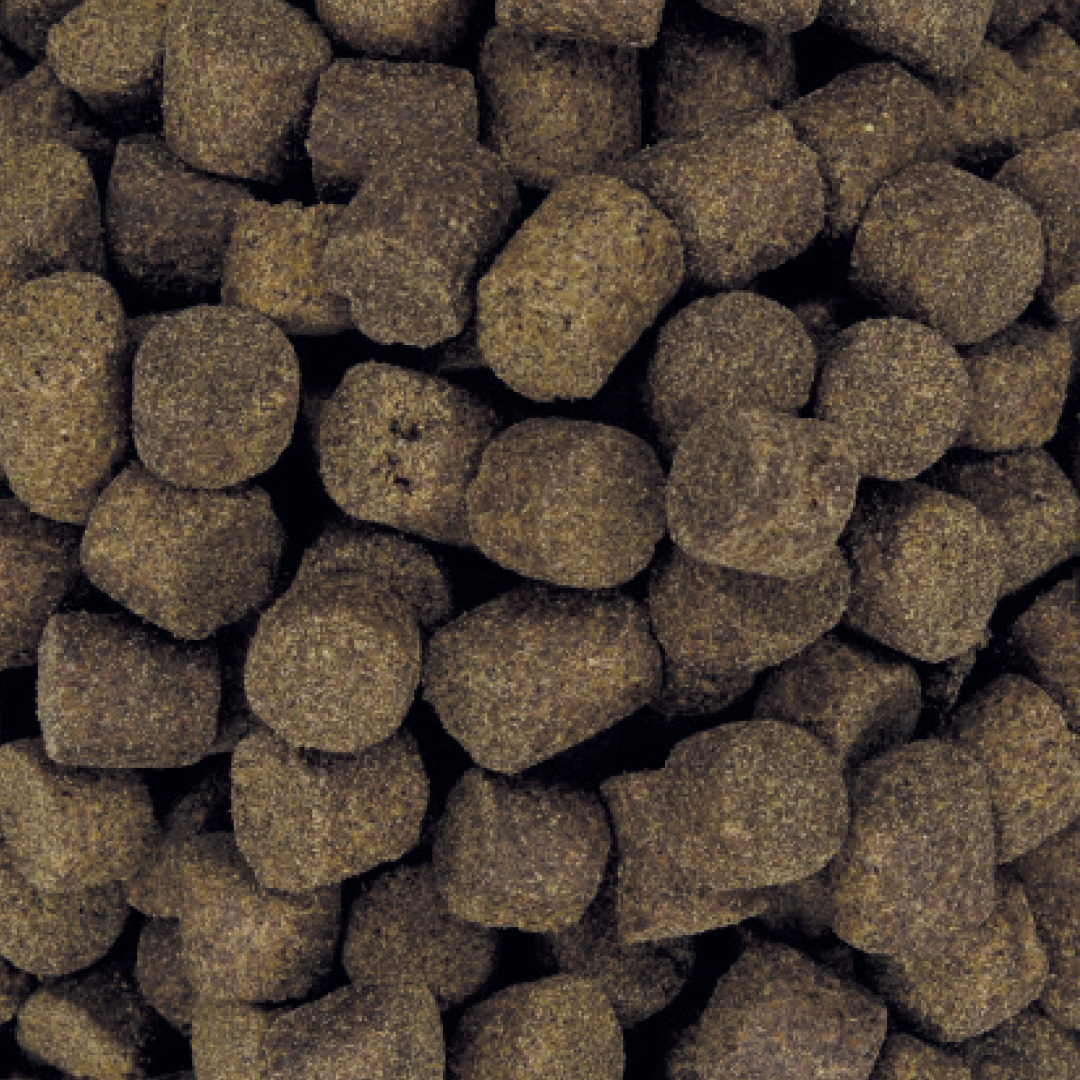 Carp Center Feed Pellets 4kg