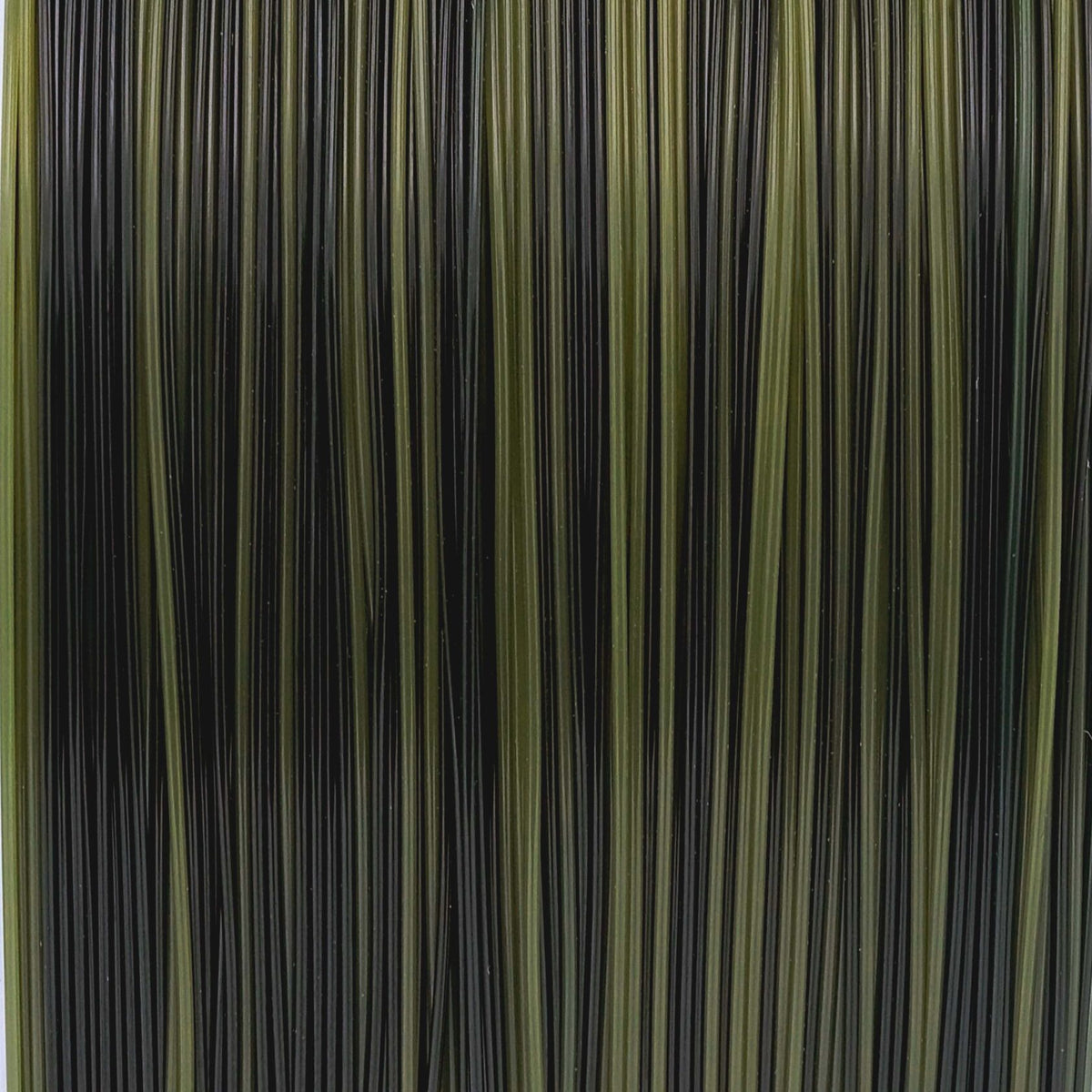 Katran Fishing Line Wild Carp
