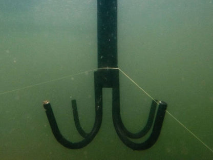 Delphin Löseanker